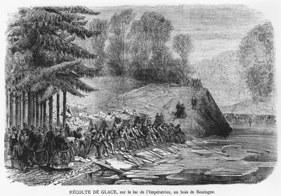 Raccolta del ghiaccio sul lago Empress nel Bois de Boulogne a Parigi, illustrazione da 